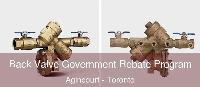  Back Valve Government Rebate Program Agincourt - Toronto