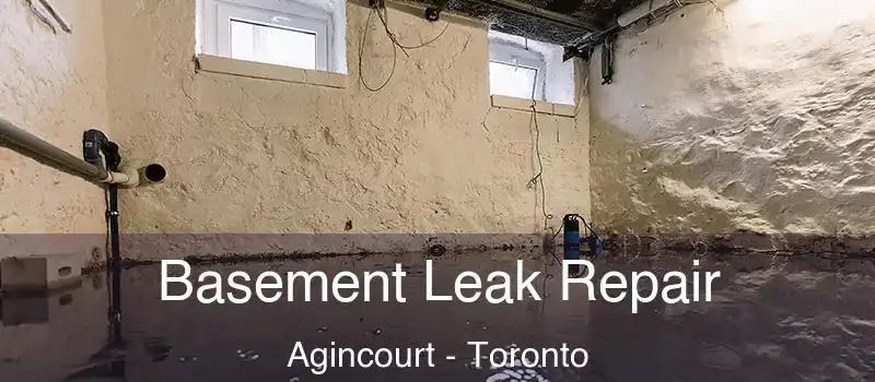  Basement Leak Repair Agincourt - Toronto