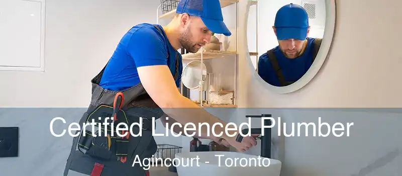  Certified Licenced Plumber Agincourt - Toronto