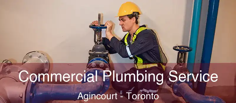  Commercial Plumbing Service Agincourt - Toronto