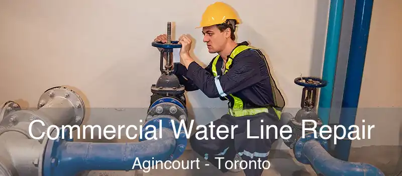  Commercial Water Line Repair Agincourt - Toronto