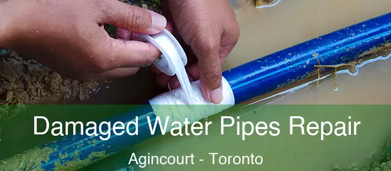  Damaged Water Pipes Repair Agincourt - Toronto