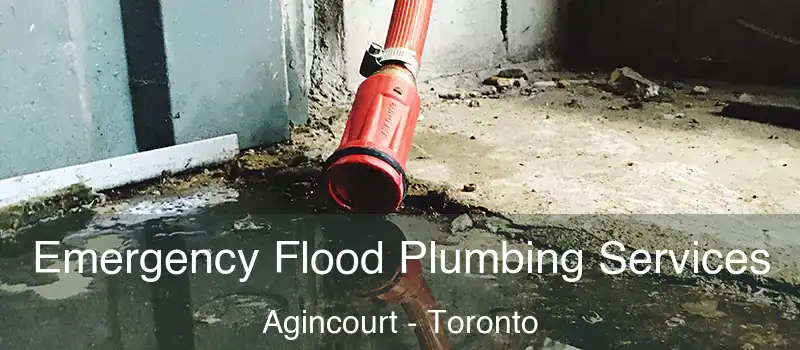  Emergency Flood Plumbing Services Agincourt - Toronto