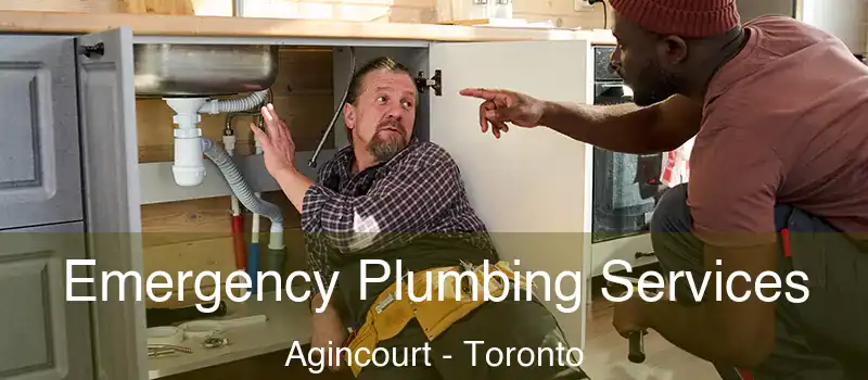  Emergency Plumbing Services Agincourt - Toronto