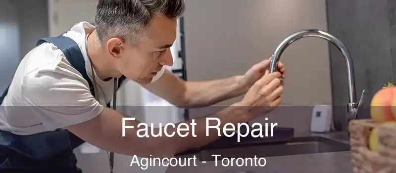  Faucet Repair Agincourt - Toronto