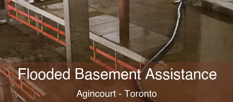  Flooded Basement Assistance Agincourt - Toronto