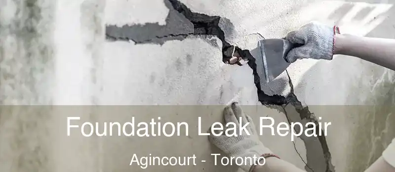  Foundation Leak Repair Agincourt - Toronto