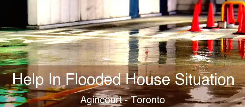  Help In Flooded House Situation Agincourt - Toronto
