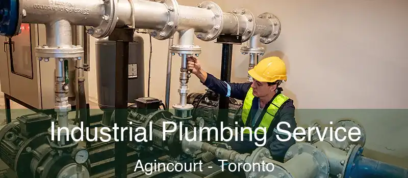  Industrial Plumbing Service Agincourt - Toronto