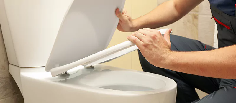 Damaged Toilet Parts Replacement Services in Agincourt, Toronto