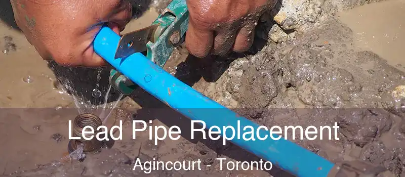  Lead Pipe Replacement Agincourt - Toronto
