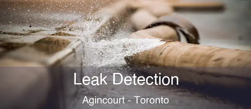  Leak Detection Agincourt - Toronto