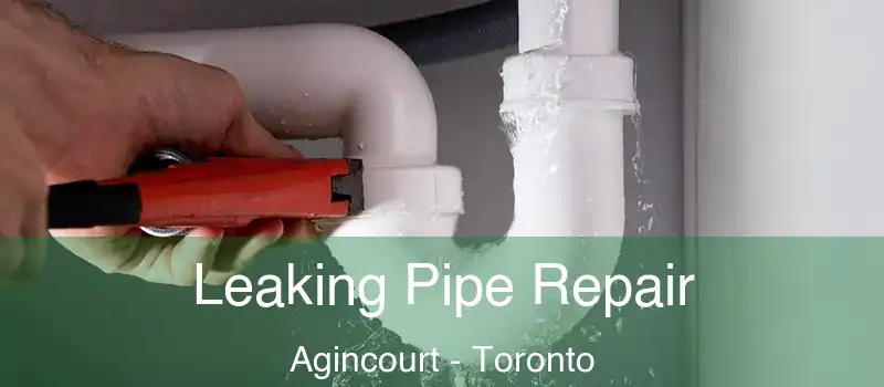  Leaking Pipe Repair Agincourt - Toronto