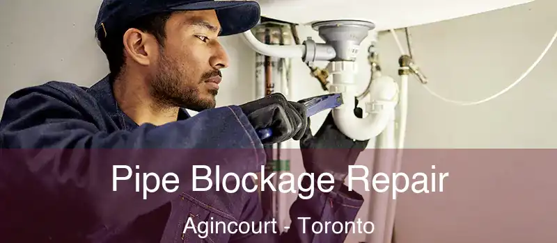  Pipe Blockage Repair Agincourt - Toronto