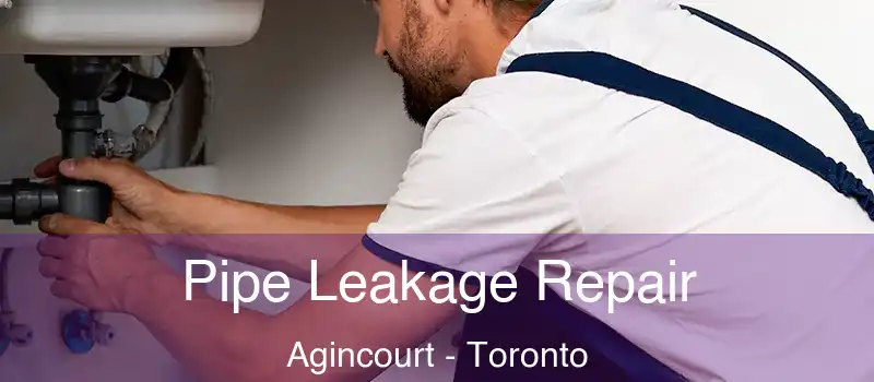  Pipe Leakage Repair Agincourt - Toronto