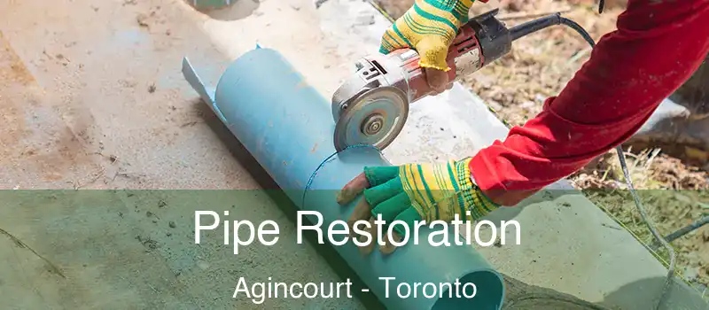  Pipe Restoration Agincourt - Toronto