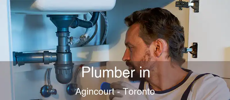  Plumber in Agincourt - Toronto