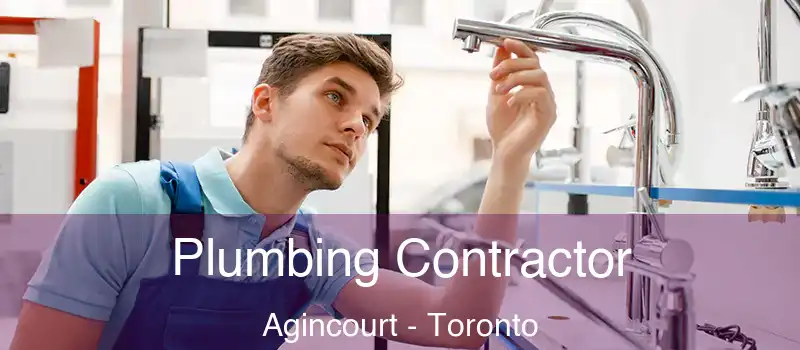  Plumbing Contractor Agincourt - Toronto