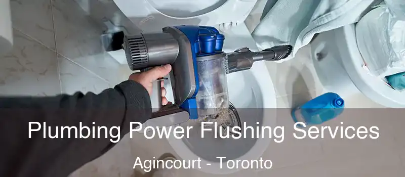  Plumbing Power Flushing Services Agincourt - Toronto