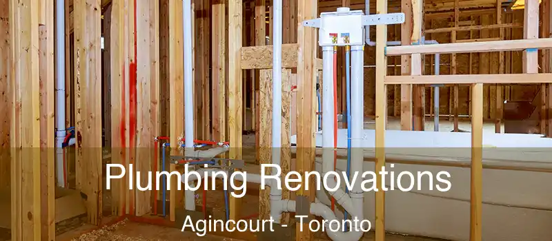  Plumbing Renovations Agincourt - Toronto