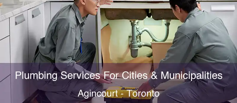 Plumbing Services For Cities & Municipalities Agincourt - Toronto