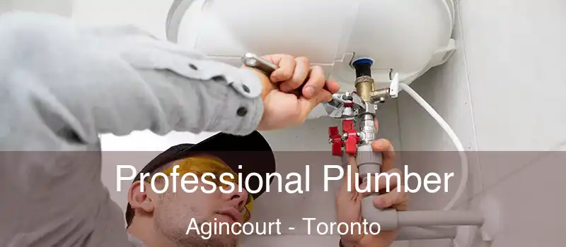  Professional Plumber Agincourt - Toronto