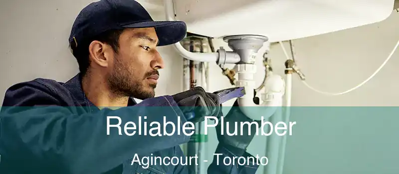  Reliable Plumber Agincourt - Toronto