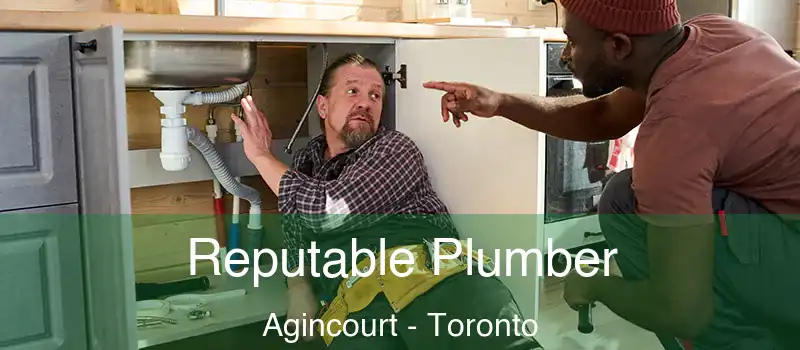  Reputable Plumber Agincourt - Toronto