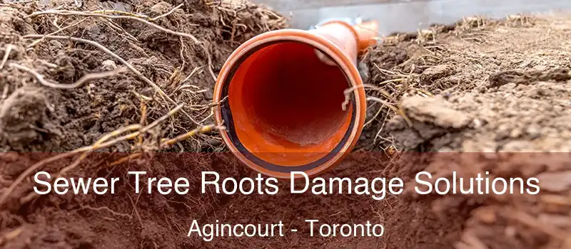  Sewer Tree Roots Damage Solutions Agincourt - Toronto