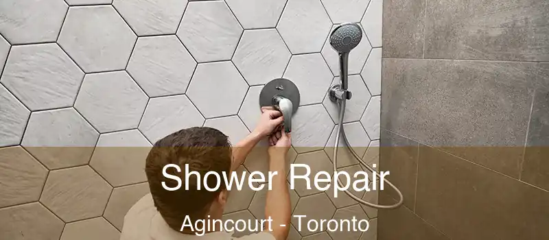  Shower Repair Agincourt - Toronto