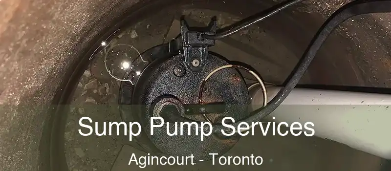  Sump Pump Services Agincourt - Toronto