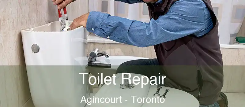  Toilet Repair Agincourt - Toronto