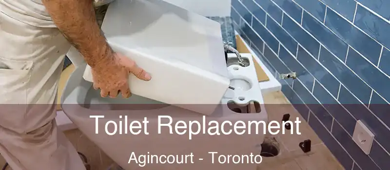  Toilet Replacement Agincourt - Toronto