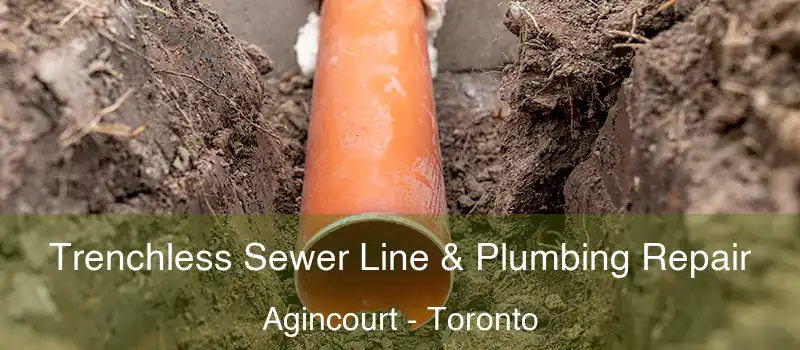  Trenchless Sewer Line & Plumbing Repair Agincourt - Toronto
