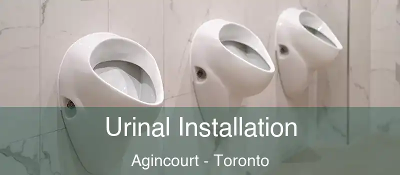  Urinal Installation Agincourt - Toronto