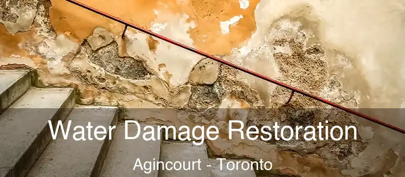  Water Damage Restoration Agincourt - Toronto