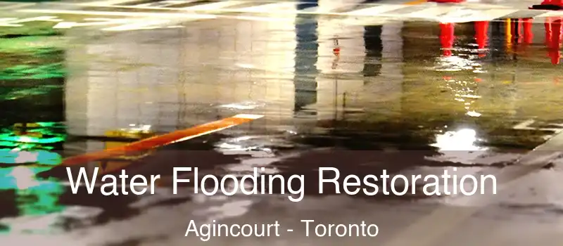  Water Flooding Restoration Agincourt - Toronto