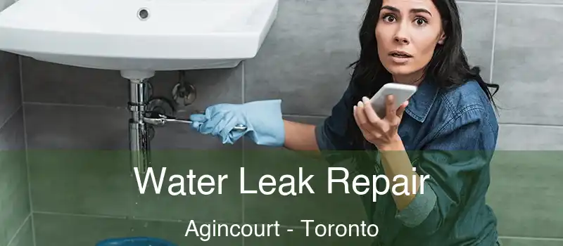  Water Leak Repair Agincourt - Toronto
