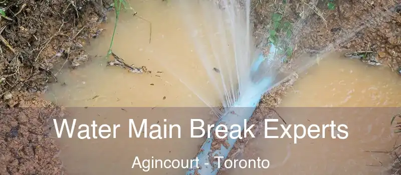  Water Main Break Experts Agincourt - Toronto