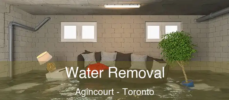  Water Removal Agincourt - Toronto
