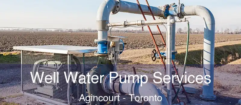  Well Water Pump Services Agincourt - Toronto